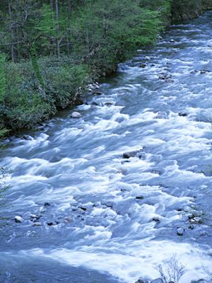 東京汐留のビジネスと観光に最適なホテル：ホテル ヴィラフォンテーヌ グランド東京汐留【公式】