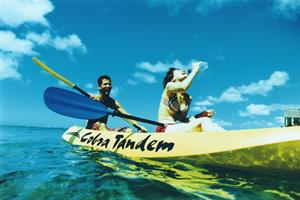 【公式】東横INN徳島駅前 | 徳島県徳島市のビジネスホテルの魅力と詳細情報