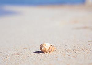 岡山駅西口徒歩5分！東横INN岡山駅西口右の魅力と設備を徹底解説