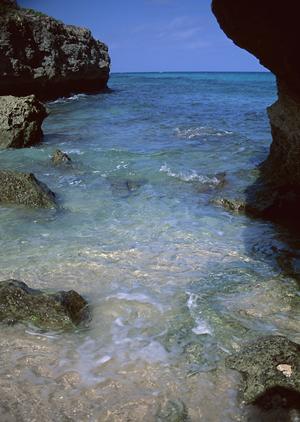 調布駅から徒歩5分、快適な滞在を提供する東横INN調布京王線布田駅の魅力と詳細情報