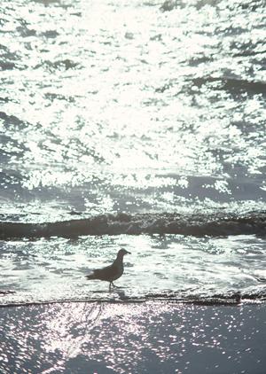 愛知県安城市｜東横INN三河安城駅新幹線南口1の全て：快適な宿泊体験と便利なアクセス情報