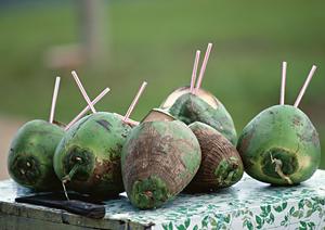 神戸三宮駅から徒歩5分！快適なビジネスホテル「東横INN神戸三宮駅市役所前」の魅力と詳細情報