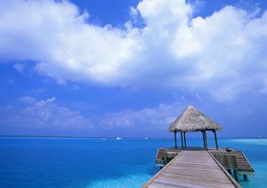 【2025年最新版】白馬で快適な宿泊を実現！選び方とおすすめ宿泊プラン完全ガイド