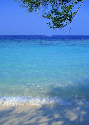 上越妙高駅西口の便利なビジネスホテル｜東横INNの魅力と店舗情報