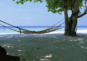 静岡の贅沢なダイニング体験：クロスロード｜中島屋グランドホテルの魅力と特徴