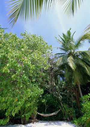 静岡駅から徒歩5分の快適ステイを実現！ガーデンホテル静岡の魅力と詳細情報