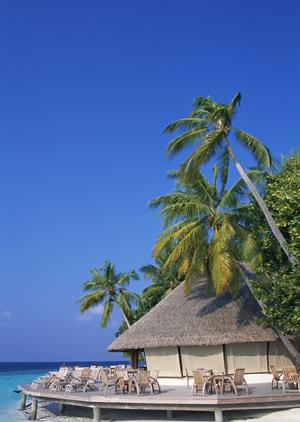 長崎対馬に泊まるなら！東横INN対馬比田勝の魅力と利用ガイド