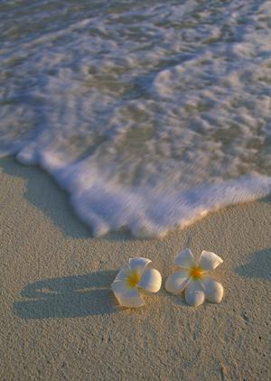 北海道・網走駅前の快適ビジネスホテル：東横INNオホーツク・網走駅前の魅力と詳細情報