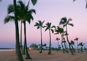 流山おおたかの森駅徒歩1分！快適な宿泊と便利なアクセスを誇る東横INN流山おおたかの森駅前の魅力